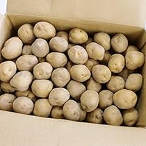 AI北海道産　訳あり　キタアカリ　40キロ たくや様専用北海道産 訳あり キタアカリ 40キロ